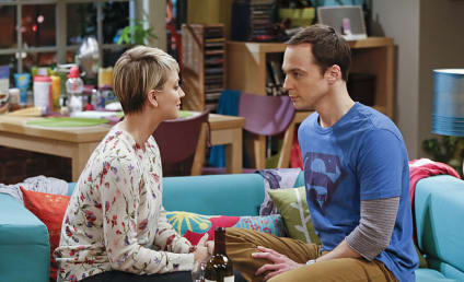 The Big Bang Theory Season 8 Episode 16 Review: The Intimacy Acceleration
