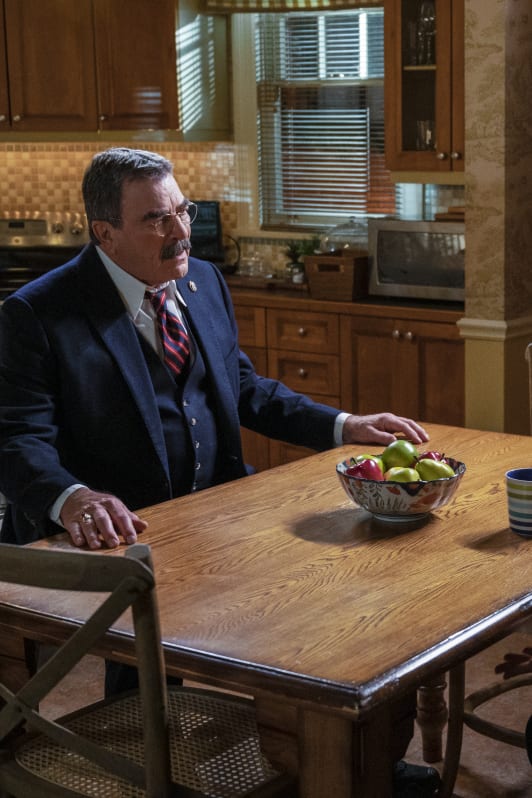 Blue bloods putlocker sales