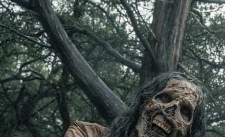 Fear the walking dead season 5 episode 1 online store