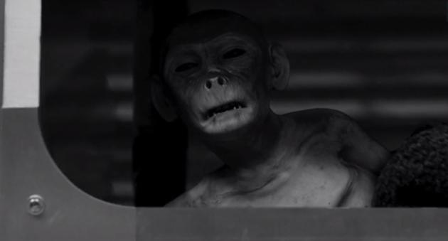 Ahhhh Jacksonnnn! - Zoo Season 3 Episode 6