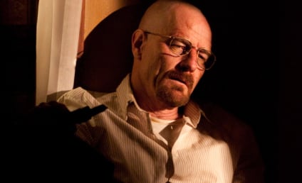 Breaking Bad Review: "End Times"