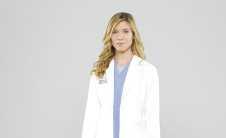 Greys Anatomy Season 10 Episode 13 "Take It Back" pic