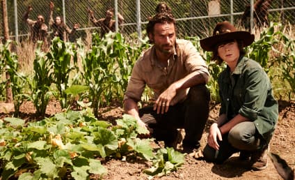 The Walking Dead Preview: A More Complete Rick, Vicious Michonne