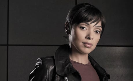 Tamara Taylor, who portrays Dr. Camille Saroyan in the television