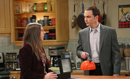 13 Things Every The Big Bang Theory Fan Knows to Be True