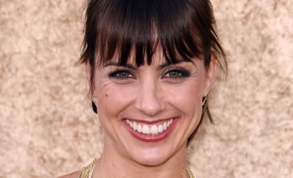 Constance Zimmer to TV Fanatic: Entourage Finale to Pave Way for Movie
