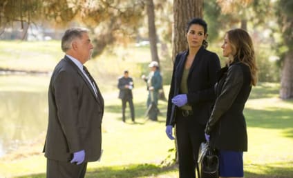 Rizzoli & Isles Review: Mother's Instinct
