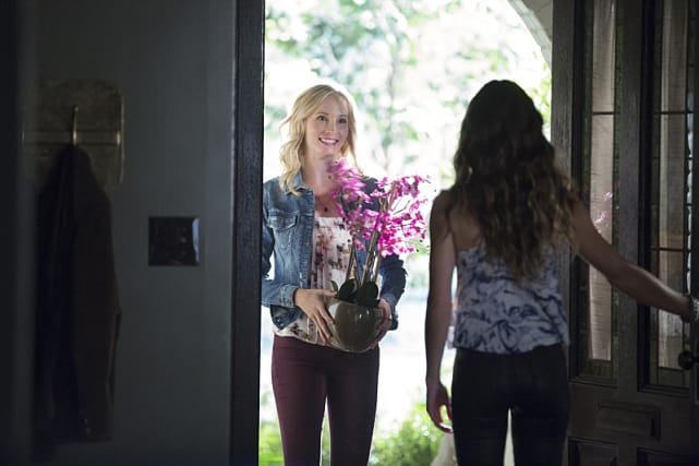 Trying to Make Nice - The Vampire Diaries Season 7 Episode 1