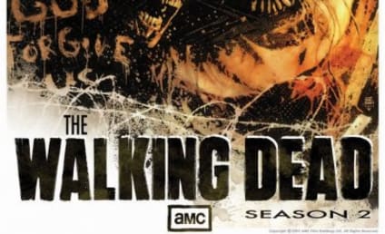 The Walking Dead Season Two Poster, Action Pic