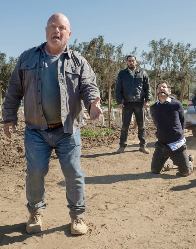 Collateral Damage Coyote Season 1 Episode 3 TV Fanatic