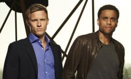 USA Network Status Updates: Common Law, Necessary Roughness, Fairly Legal