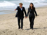 Jane & Lisbon Investigate a Surfer's Death