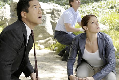 Cho and Van Pelt