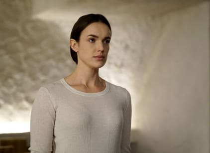 Agents of shield season 2 2025 online