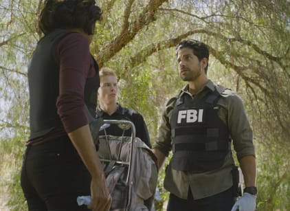 Watch criminal shop minds season 12