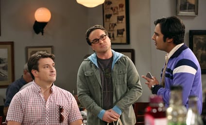 The Big Bang Theory Season 8 Episode 15 Review: The Comic Book Store Regeneration