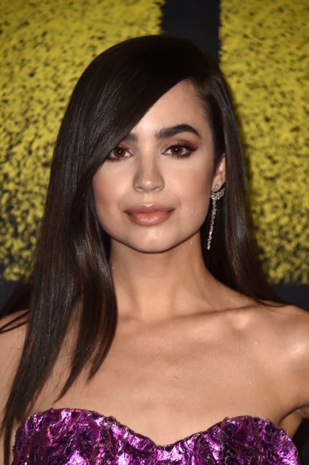The Perfectionists: Sofia Carson Joins Pretty Little Liars Spinoff