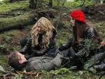 Fallen in the Forest