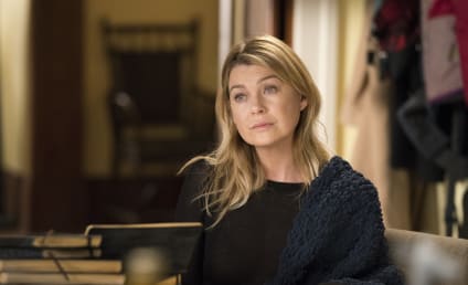 Ellen Pompeo Hints at Grey's Anatomy End Date