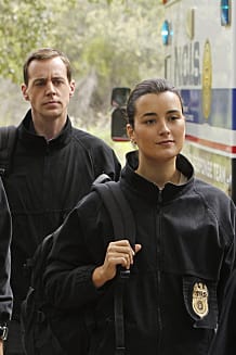 ncis review mike franks swan song tv fanatic