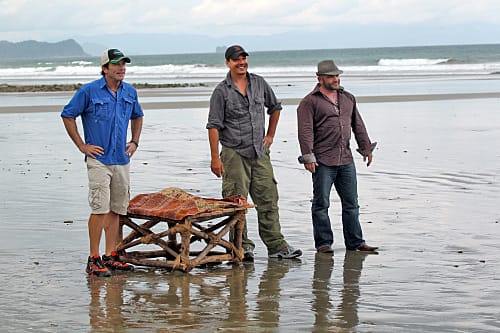 Watch survivor online cheap free full episodes