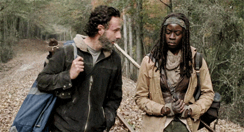 Rick and Michonne - The Walking Dead