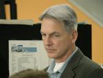 Displeased Gibbs