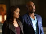 A Private Investigation - Rosewood