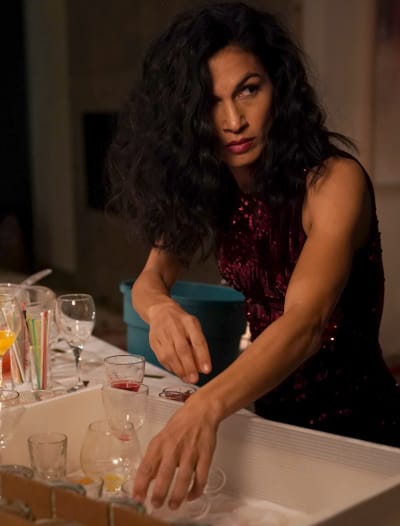 The Cleaning Lady Season 1 Episode 1