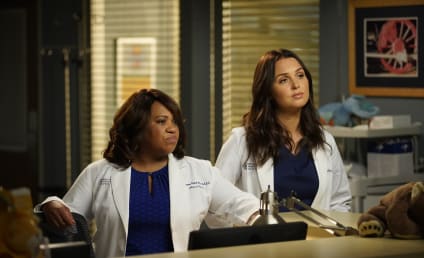 TV Ratings: Grey's Anatomy Hits New Demo Low