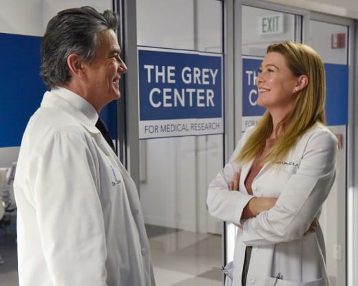 Meeting a Familiar Face  - Grey's Anatomy