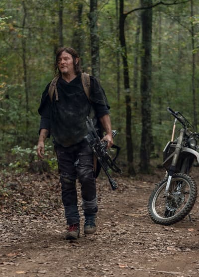 Daryl Alone in the Woods - The Walking Dead Season 10 Episode 21