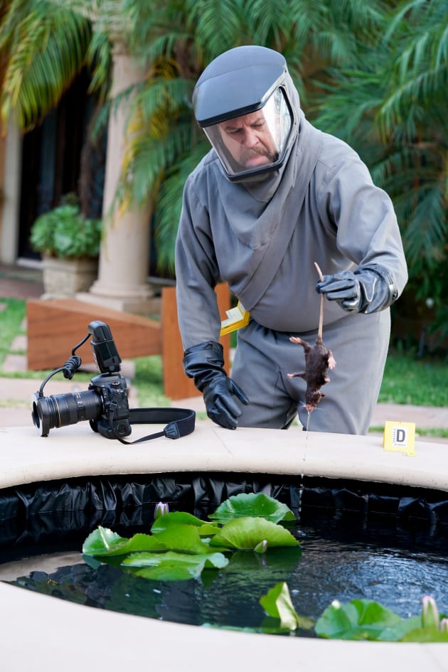 Finding Mickey - CSI: Vegas Season 2 Episode 5