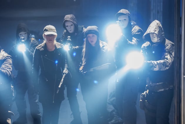 Watch arrow season cheap 5 online free