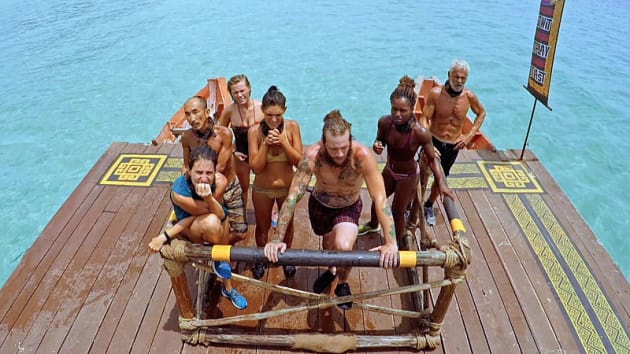 Individual Immunity - Survivor