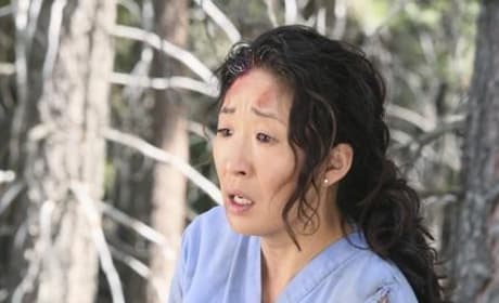 Grey's anatomy season 8 episode 24 watch online online