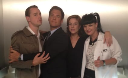 Diane Neal Confirms Return to NCIS