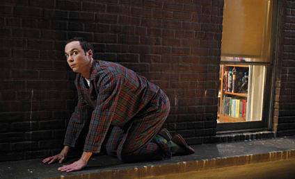 The Big Bang Theory Review: "The Bozeman Reaction"