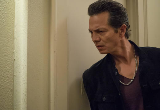 tvfanatic.com