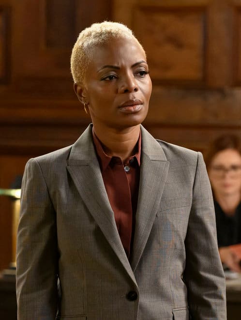 Untangling Stories - Law & Order Season 22 Episode 8