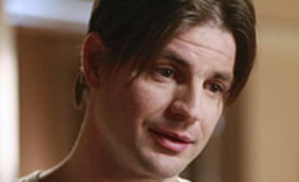 When Will Gale Harold Return to Desperate Housewives?