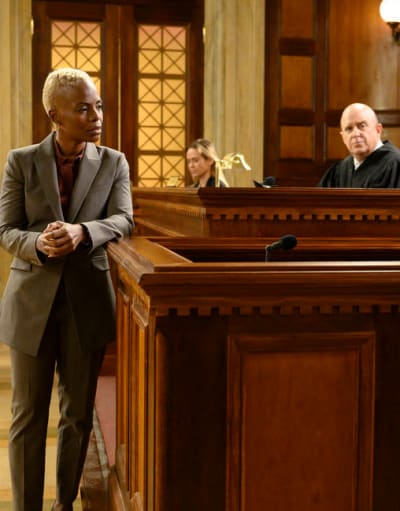 A Complex Case - Law & Order Season 22 Episode 8