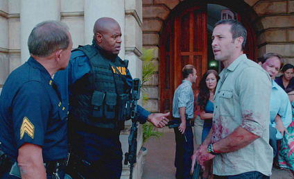 Hawaii Five-0 Review: The Brothers McGarrett?
