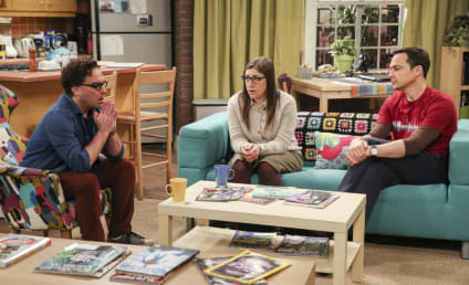 Watch The Big Bang Theory Online: Season 12 Episode 22