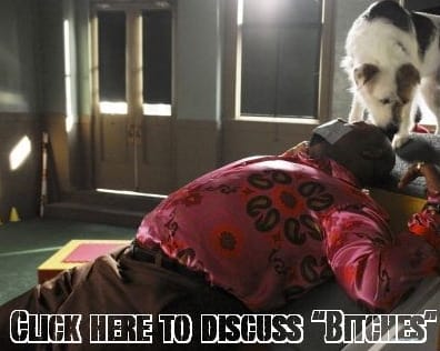 pd-forums.jpg