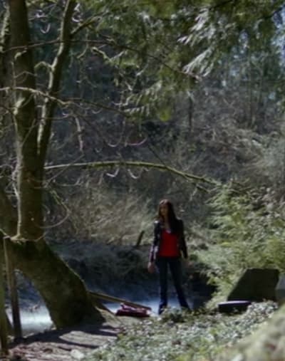 Disappearing Act - The Vampire Diaries Season 1 Episode 1