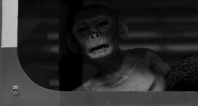 Ahhhh Jacksonnnn! - Zoo Season 3 Episode 6