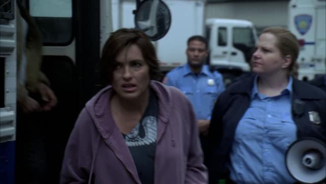 Going to Prison To Catch a Rapist (Undercover, Season 9)