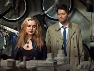 Supernatural season hotsell 8 online