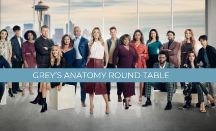 Grey's Anatomy Round Table: Was There Sexual Tension Between Amelia and Beltran?